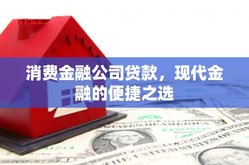 东平消费金融公司贷款，现代金融的便捷之选