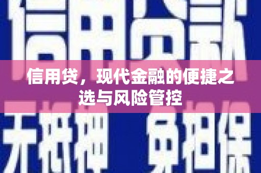 东平信用贷，现代金融的便捷之选与风险管控