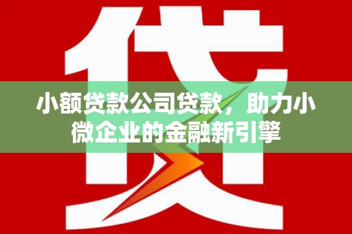 东平小额贷款公司贷款，助力小微企业的金融新引擎