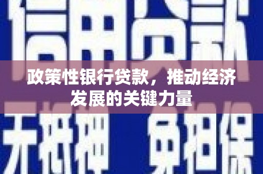 东平政策性银行贷款，推动经济发展的关键力量