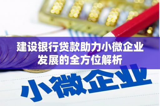 东平建设银行贷款助力小微企业发展的全方位解析