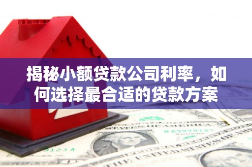 东平揭秘小额贷款公司利率，如何选择最合适的贷款方案