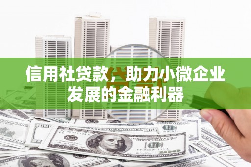东平信用社贷款，助力小微企业发展的金融利器