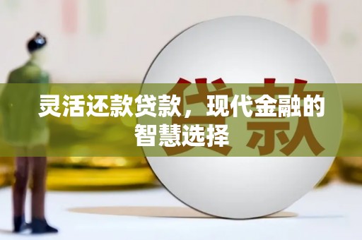 东平灵活还款贷款，现代金融的智慧选择