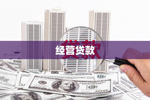 东平经营贷款