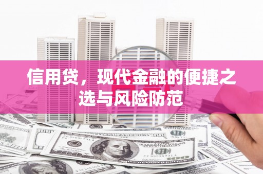 东平信用贷，现代金融的便捷之选与风险防范
