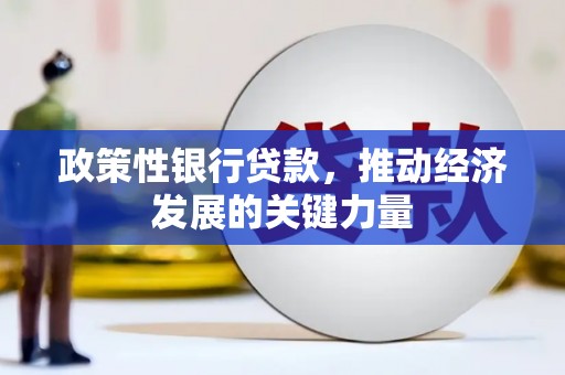 东平政策性银行贷款，推动经济发展的关键力量