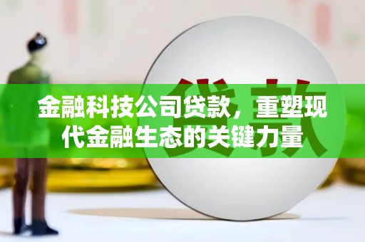 东平金融科技公司贷款，重塑现代金融生态的关键力量