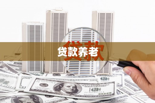 东平贷款养老