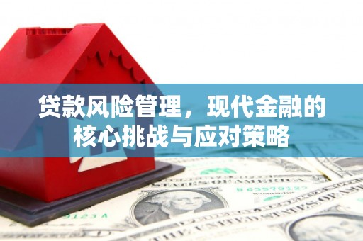东平贷款风险管理，现代金融的核心挑战与应对策略