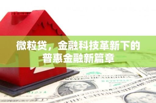 东平微粒贷，金融科技革新下的普惠金融新篇章