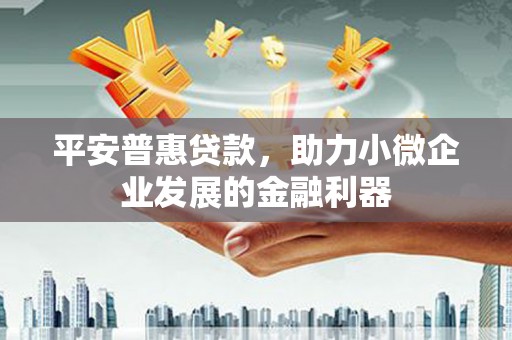 东平平安普惠贷款，助力小微企业发展的金融利器