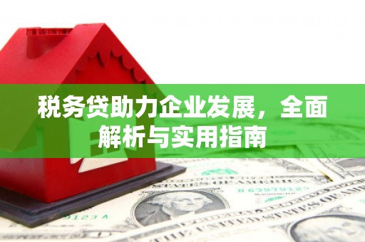 东平税务贷助力企业发展，全面解析与实用指南