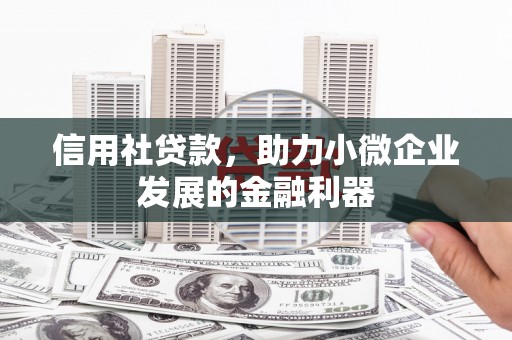 东平信用社贷款，助力小微企业发展的金融利器