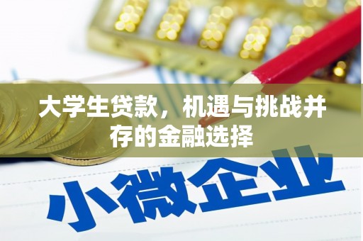 东平大学生贷款，机遇与挑战并存的金融选择