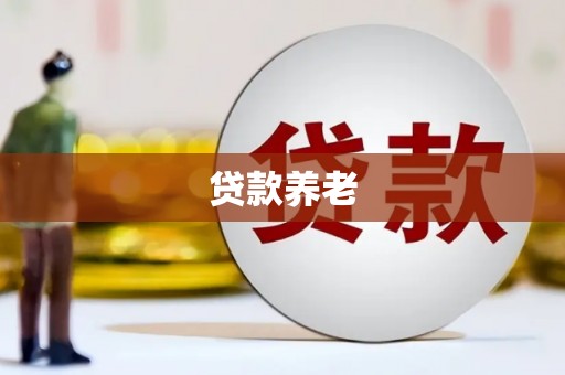 东平贷款养老