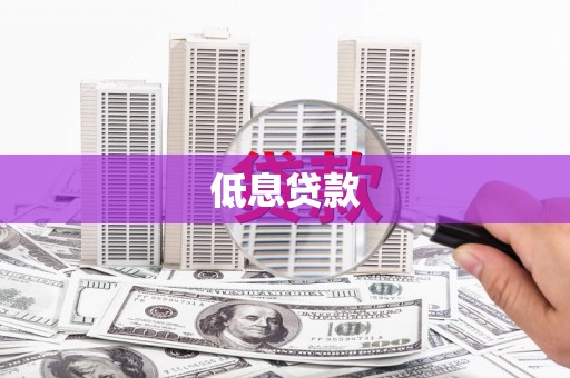 东平低息贷款