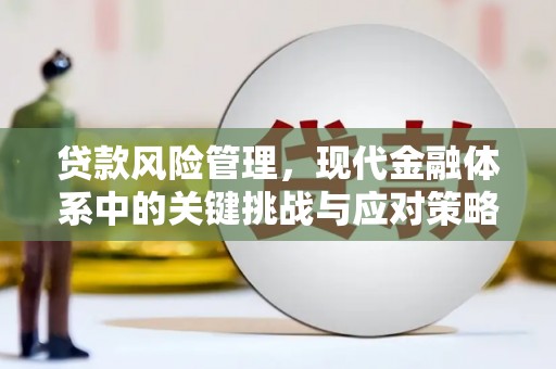 东平贷款风险管理，现代金融体系中的关键挑战与应对策略