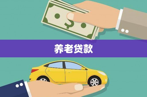 东平养老贷款