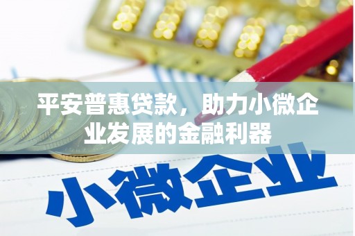 东平平安普惠贷款，助力小微企业发展的金融利器