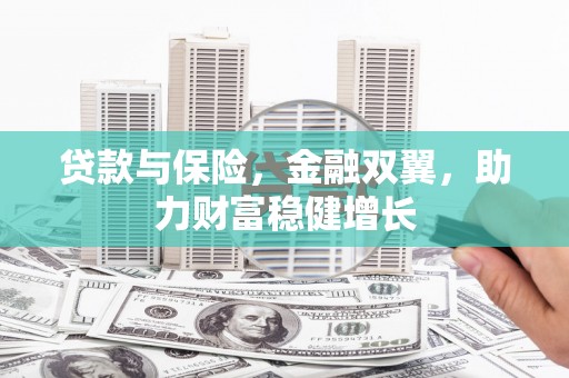 东平贷款与保险，金融双翼，助力财富稳健增长