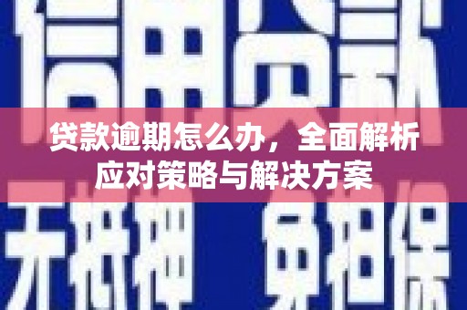 东平贷款逾期怎么办，全面解析应对策略与解决方案