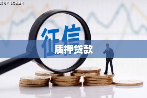东平质押贷款
