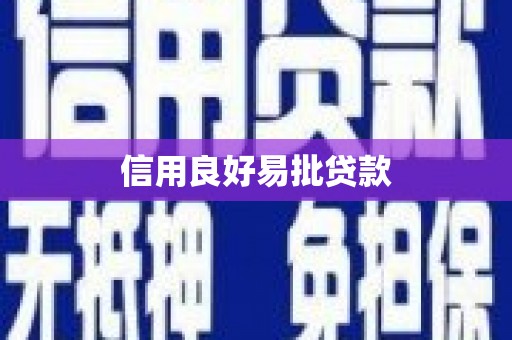 东平信用良好易批贷款