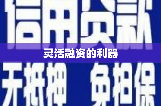 东平灵活融资的利器