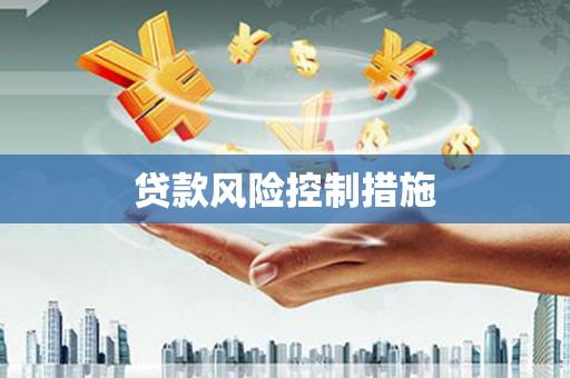 东平贷款风险控制措施
