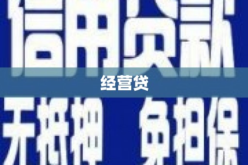 东平经营贷