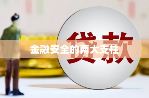 东平金融安全的两大支柱