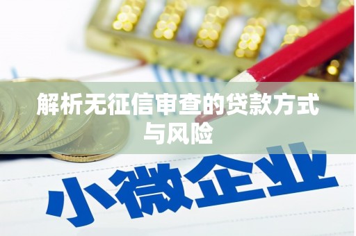 东平解析无征信审查的贷款方式与风险