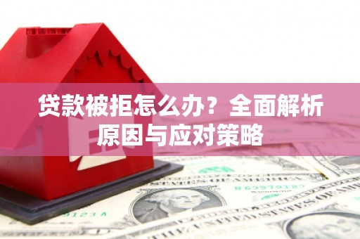 东平贷款被拒怎么办？全面解析原因与应对策略