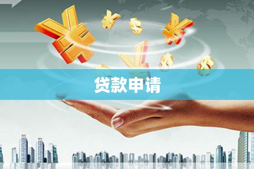东平贷款申请