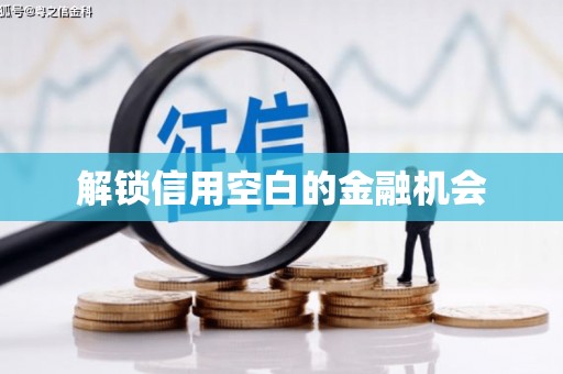 东平解锁信用空白的金融机会