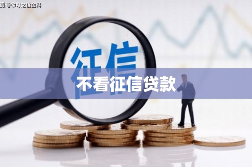 东平不看征信贷款