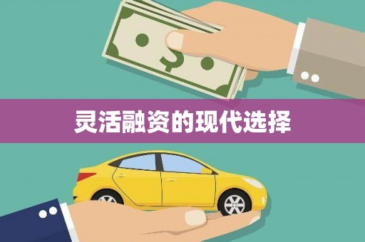 东平灵活融资的现代选择