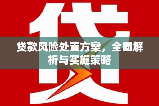 东平贷款风险处置方案，全面解析与实施策略
