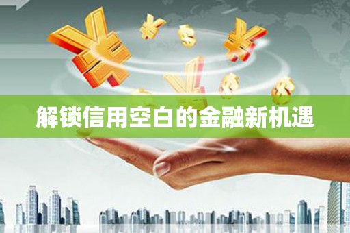 东平解锁信用空白的金融新机遇