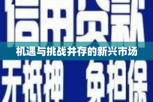 东平机遇与挑战并存的新兴市场
