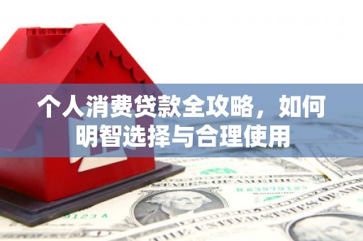 东平个人消费贷款全攻略，如何明智选择与合理使用