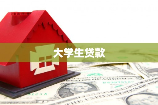 东平大学生贷款