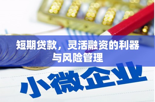 东平短期贷款，灵活融资的利器与风险管理