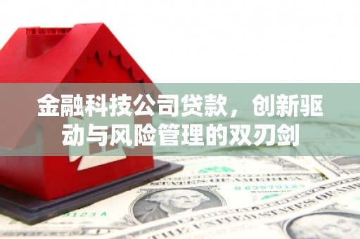 东平金融科技公司贷款，创新驱动与风险管理的双刃剑