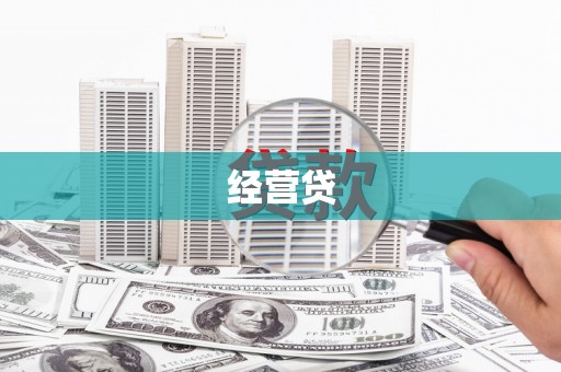 东平经营贷